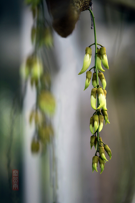 ȸӰ     ʱ13509252000.JPG