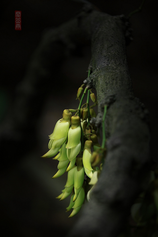 ͬͬ    ʱ13509252000.JPG