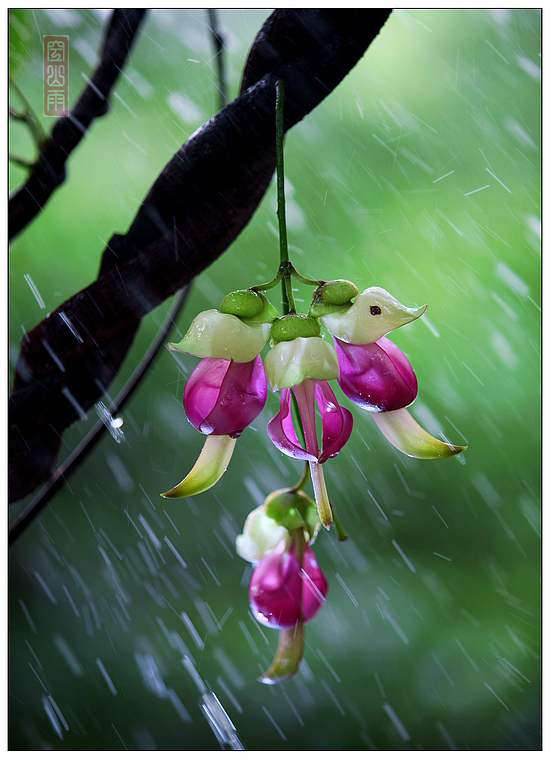 ȸ     ʱ13509252000.jpg