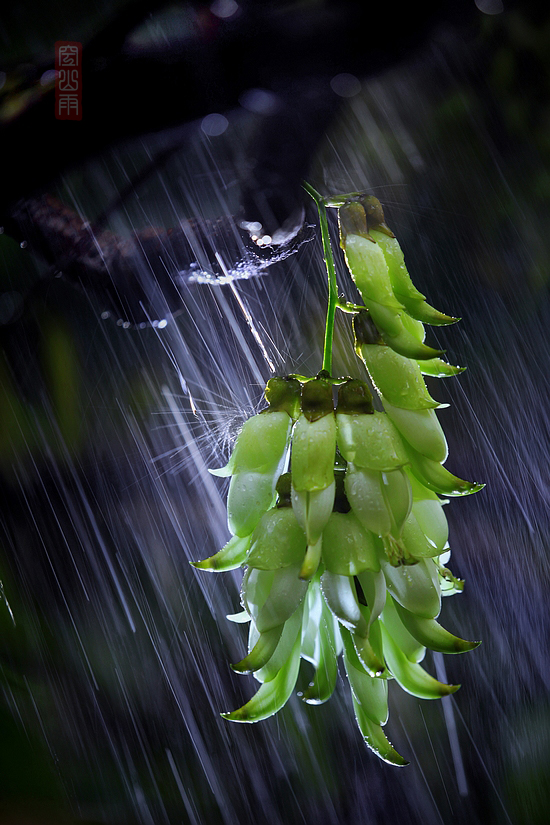 ϴǦ     ʱ13509252000.JPG