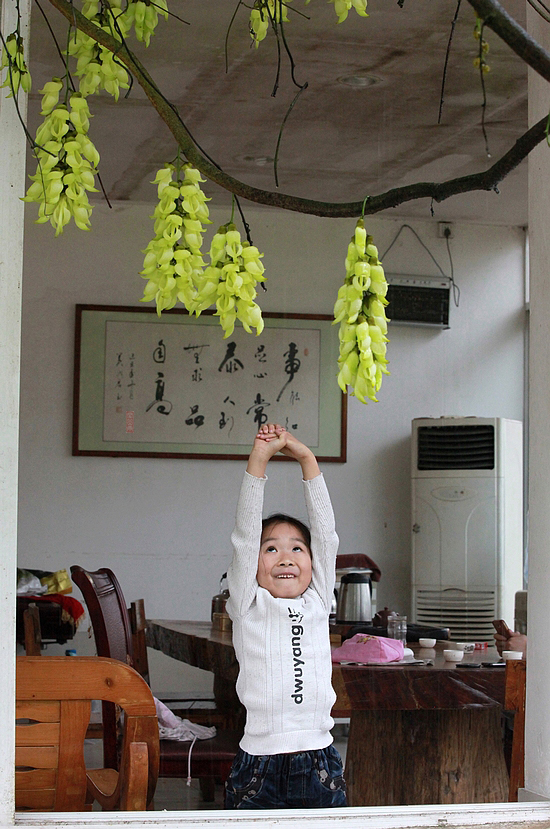 Ϸȸ     ʱ13509252000.jpg