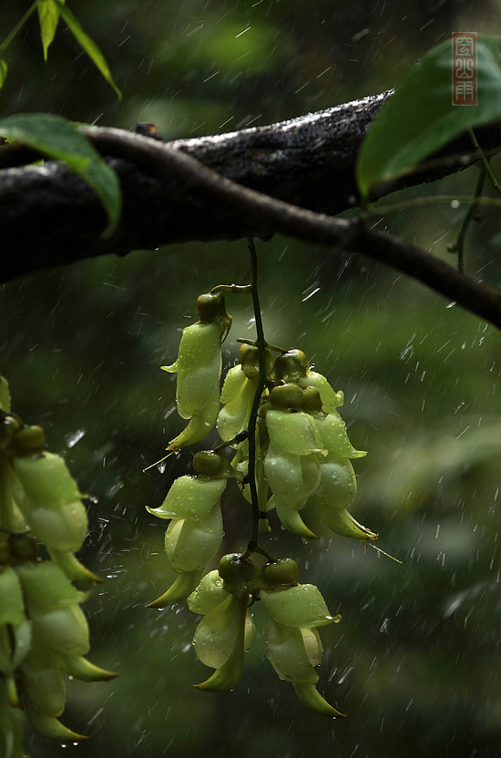 Ϸˮ     ʱ13509252000.JPG