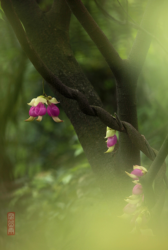 Ѱ     ʱ13509252000.JPG