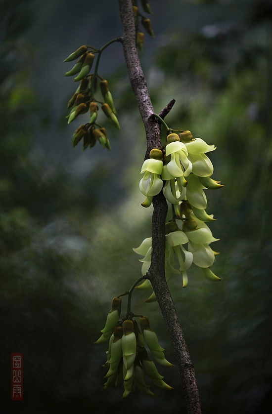 һһ    ʱ13509252000.JPG