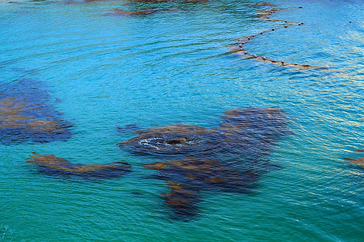 2014.4.26-27Ƭ 154_.jpg