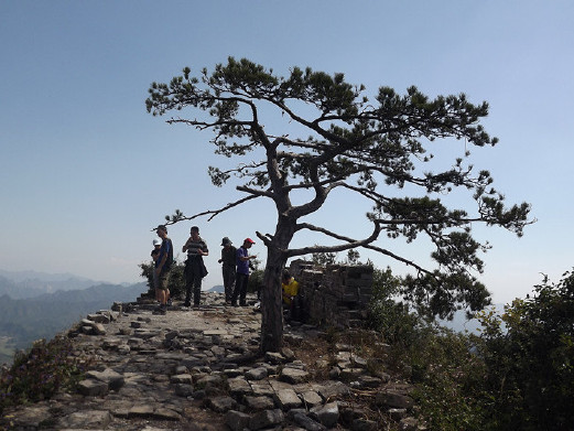 ���۳��Ǳ������ϵ�ӭ����