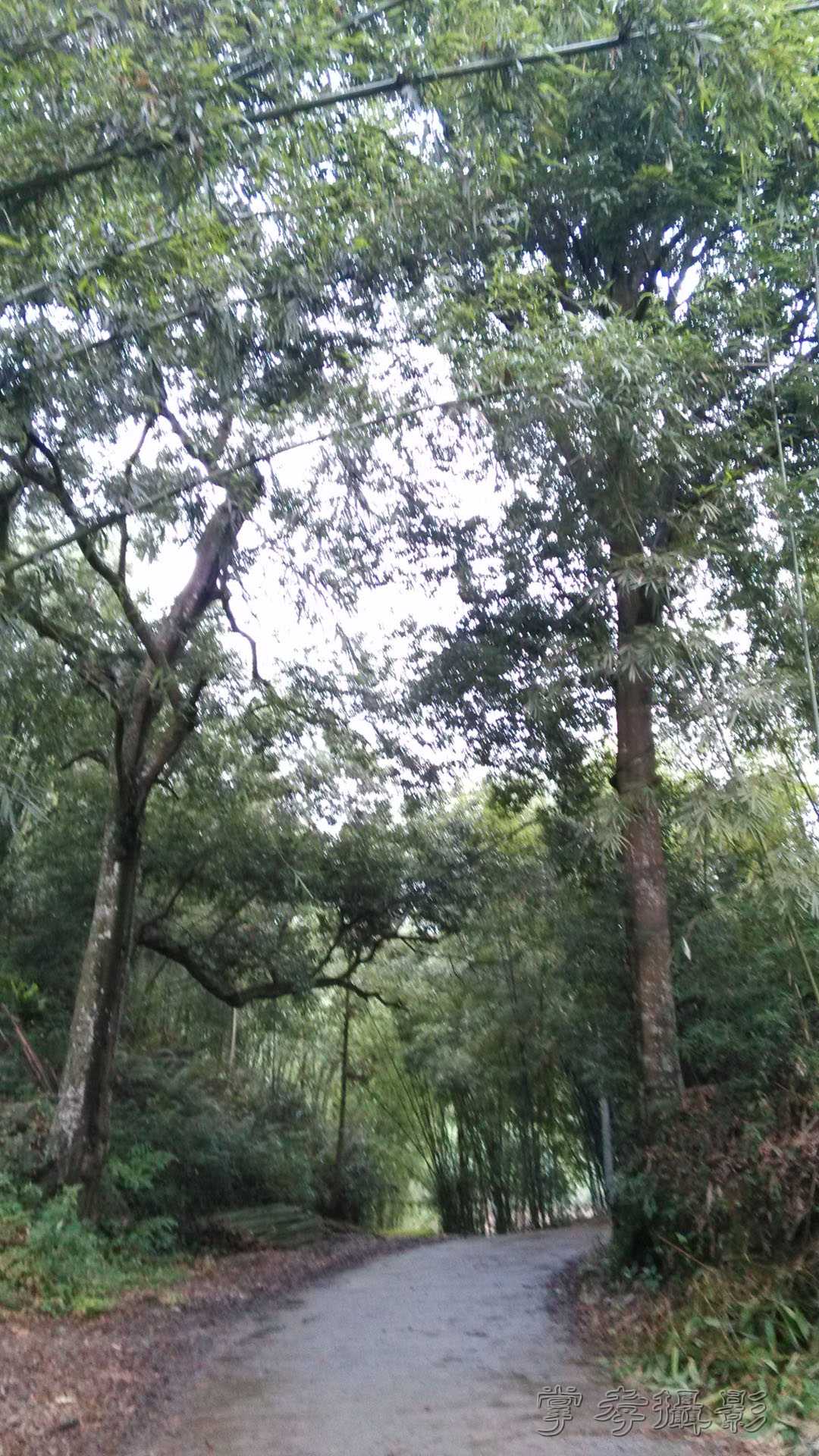 2014����Ӣ������ (37).jpg