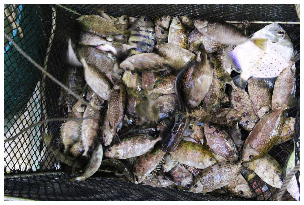 ��Ƭ 012_nEO_IMG.jpg