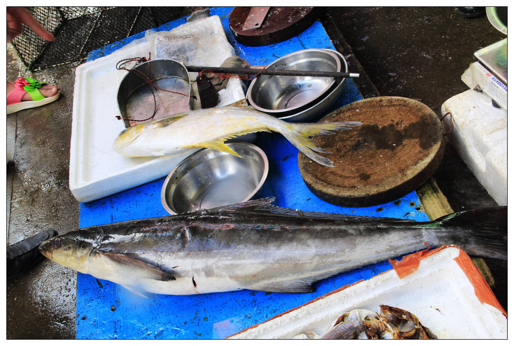 ��Ƭ 013_nEO_IMG.jpg