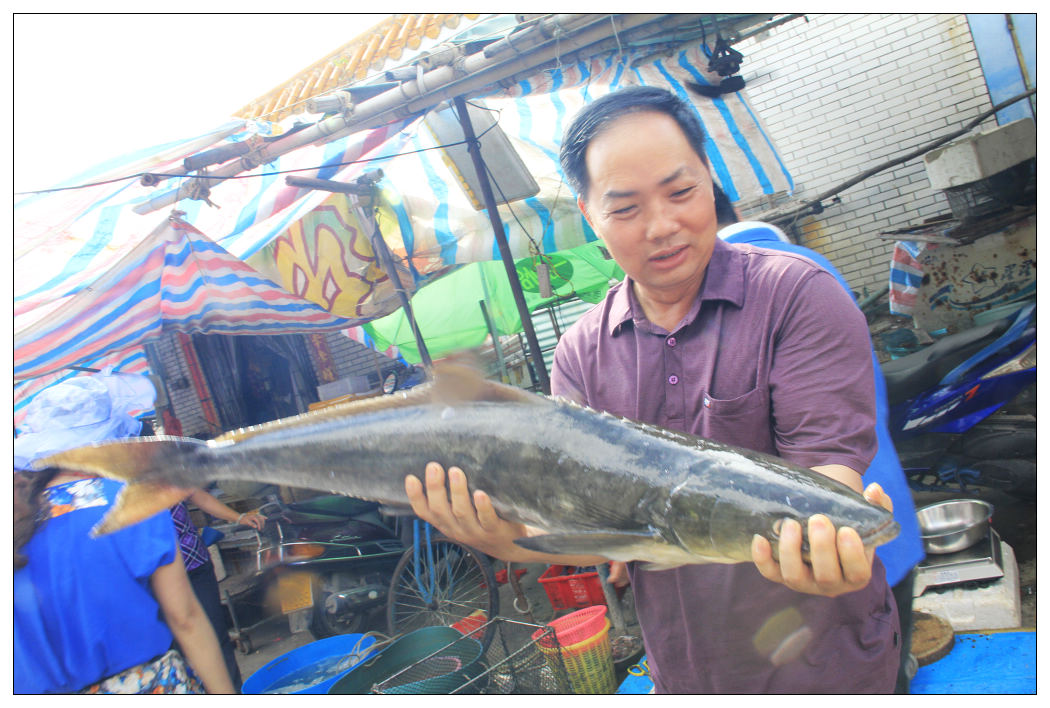 ��Ƭ 015_nEO_IMG.jpg