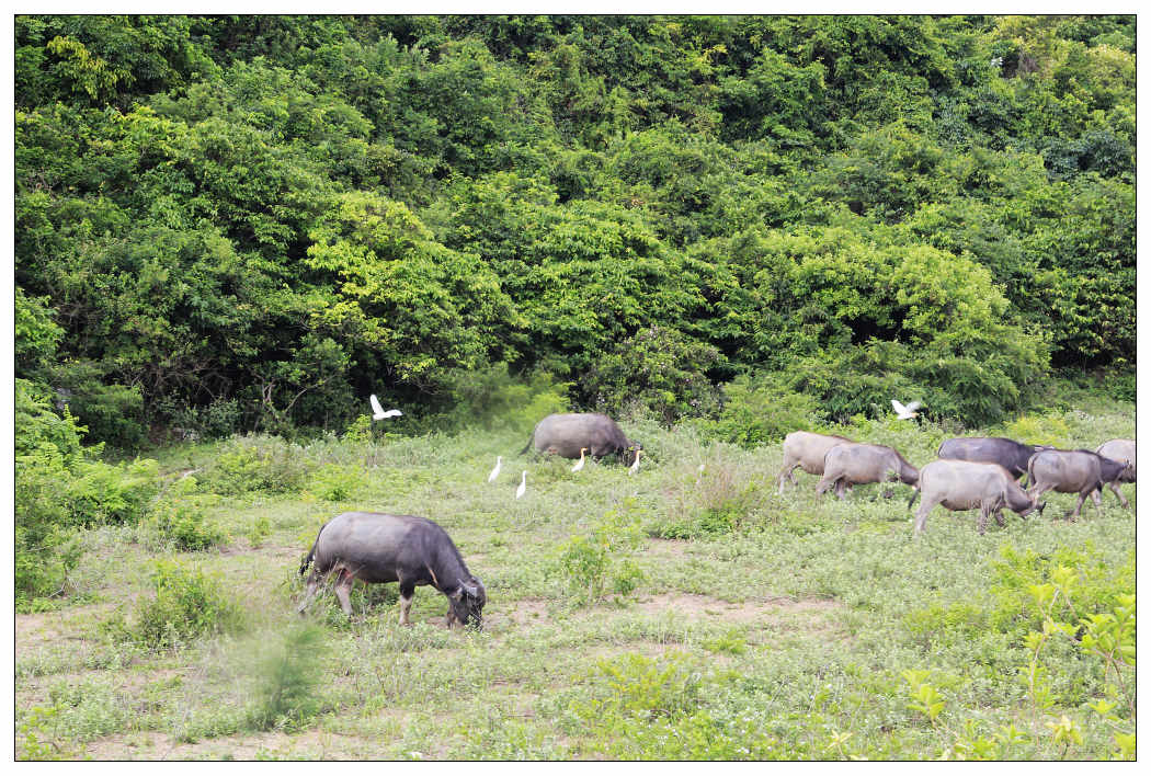 ��Ƭ 016_nEO_IMG.jpg