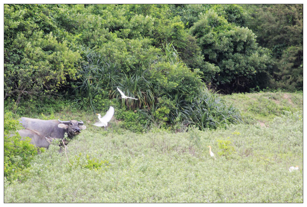 ��Ƭ 020_nEO_IMG.jpg