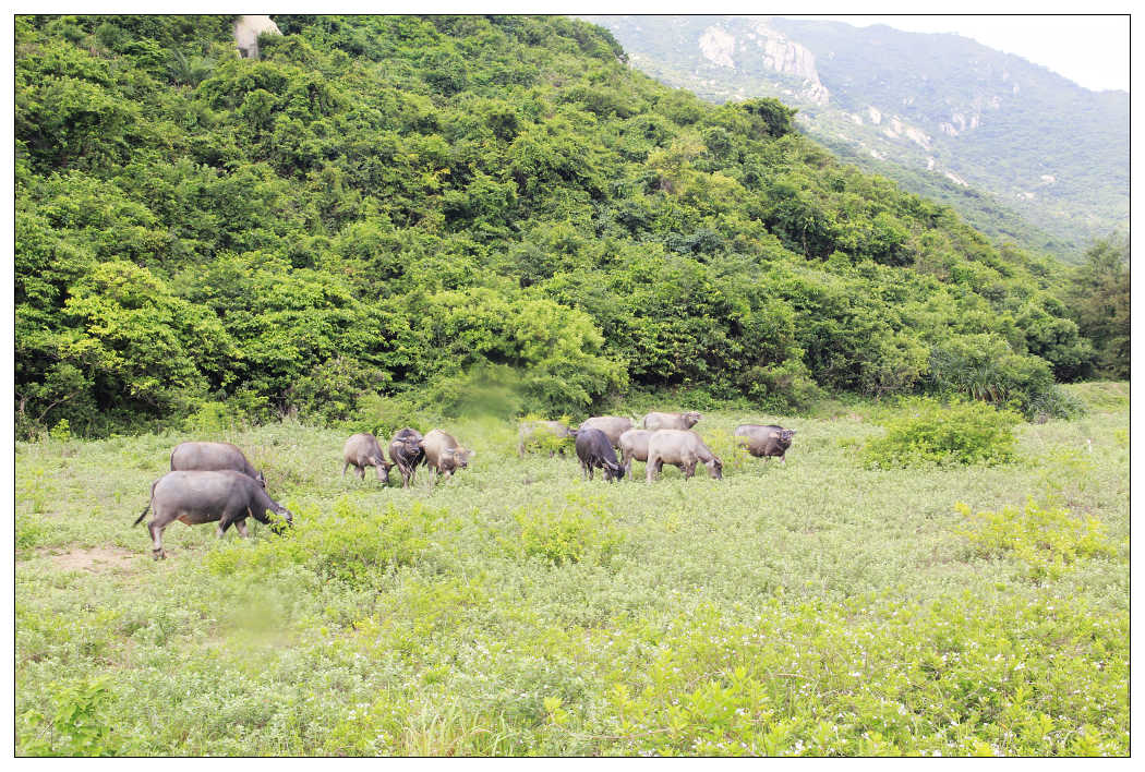 ��Ƭ 019_nEO_IMG.jpg