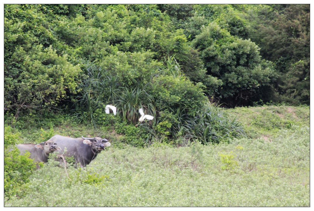 ��Ƭ 021_nEO_IMG.jpg