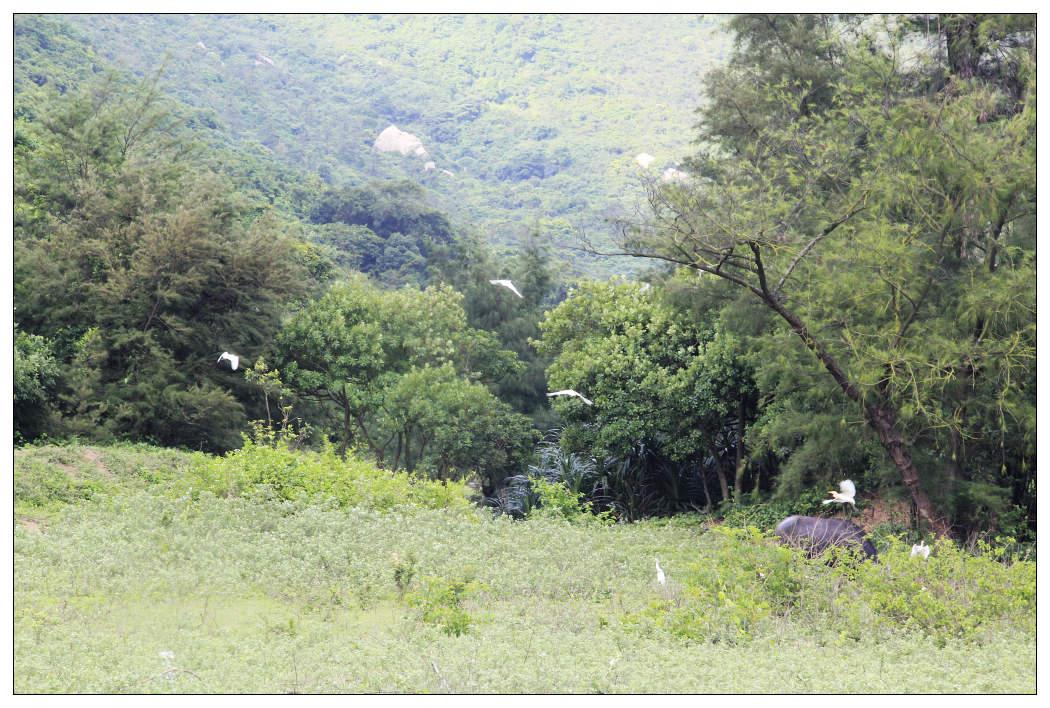 ��Ƭ 022_nEO_IMG.jpg