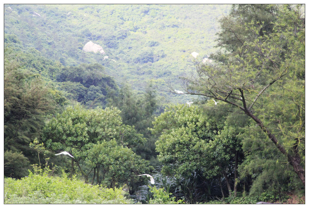 ��Ƭ 023_nEO_IMG.jpg