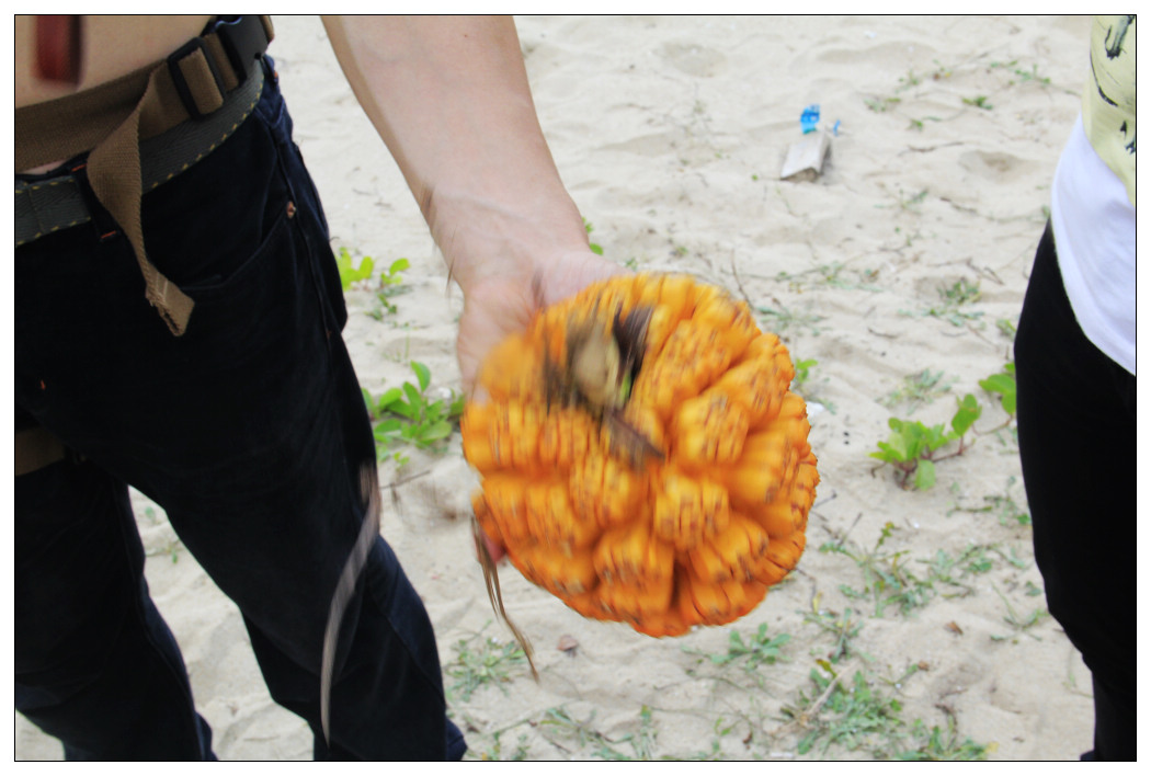 ��Ƭ 027_nEO_IMG.jpg