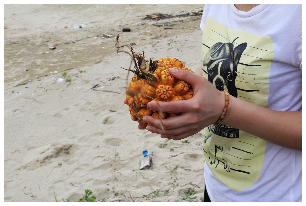 ��Ƭ 028_nEO_IMG.jpg