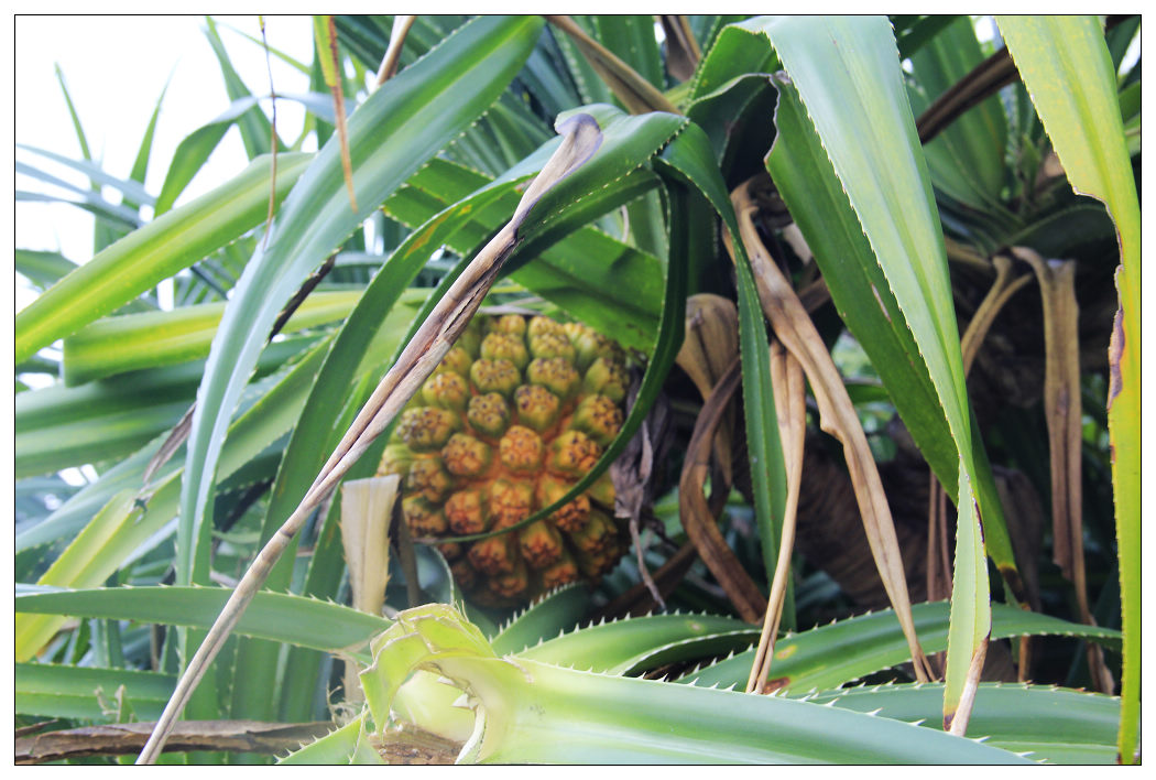 ��Ƭ 029_nEO_IMG.jpg