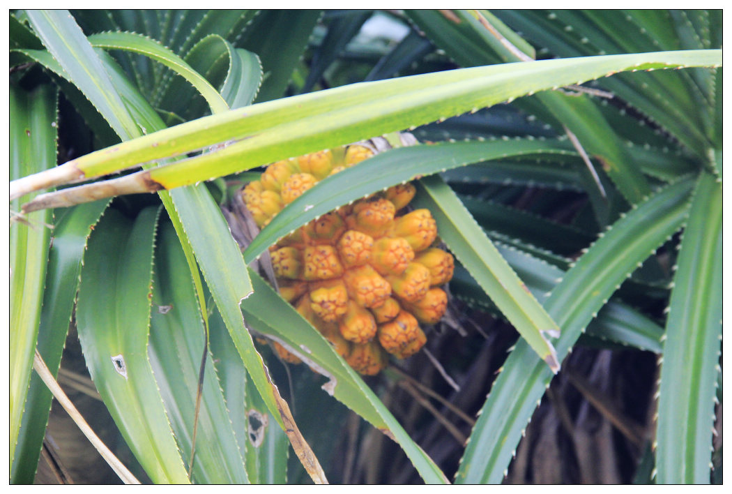 ��Ƭ 030_nEO_IMG.jpg