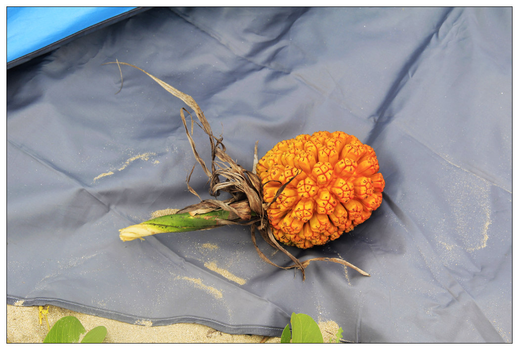 ��Ƭ 031_nEO_IMG.jpg