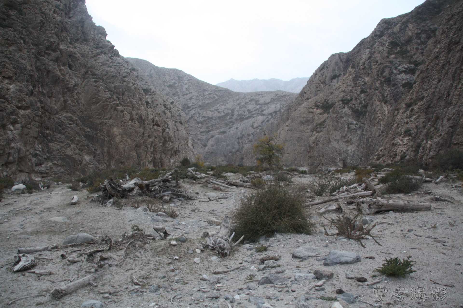 ͽ����Խ��ɽ����̾�����½� (1367).jpg