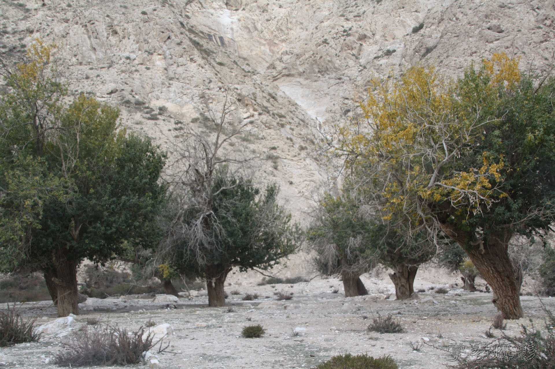 ͽ����Խ��ɽ����̾�����½� (1399).jpg