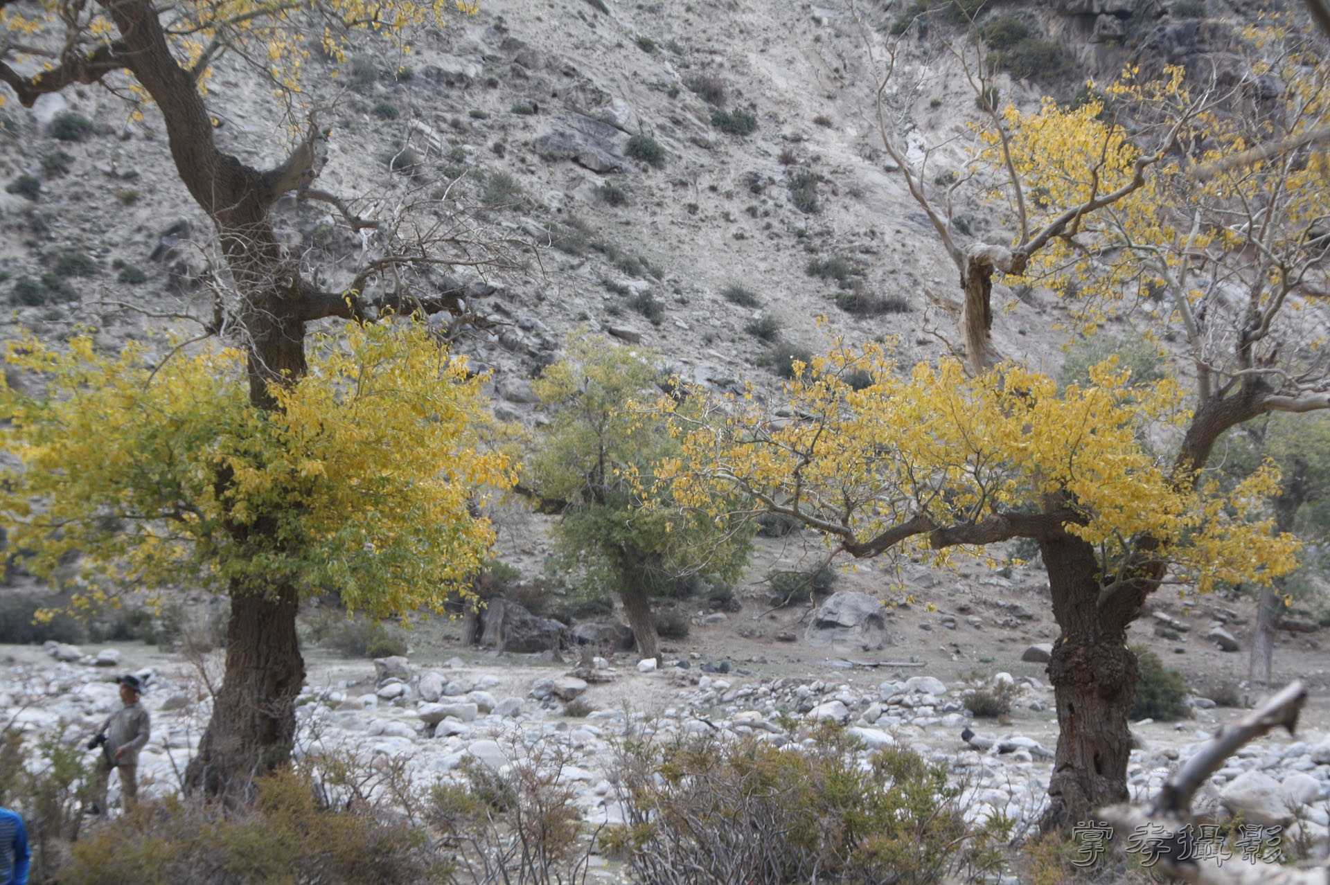 ͽ����Խ��ɽ����̾�����½� (1433).jpg