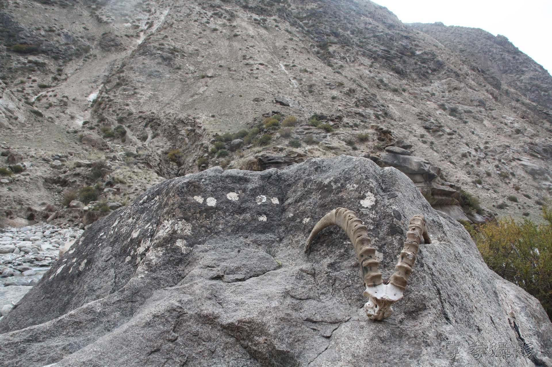 ͽ����Խ��ɽ����̾�����½� (1439).jpg