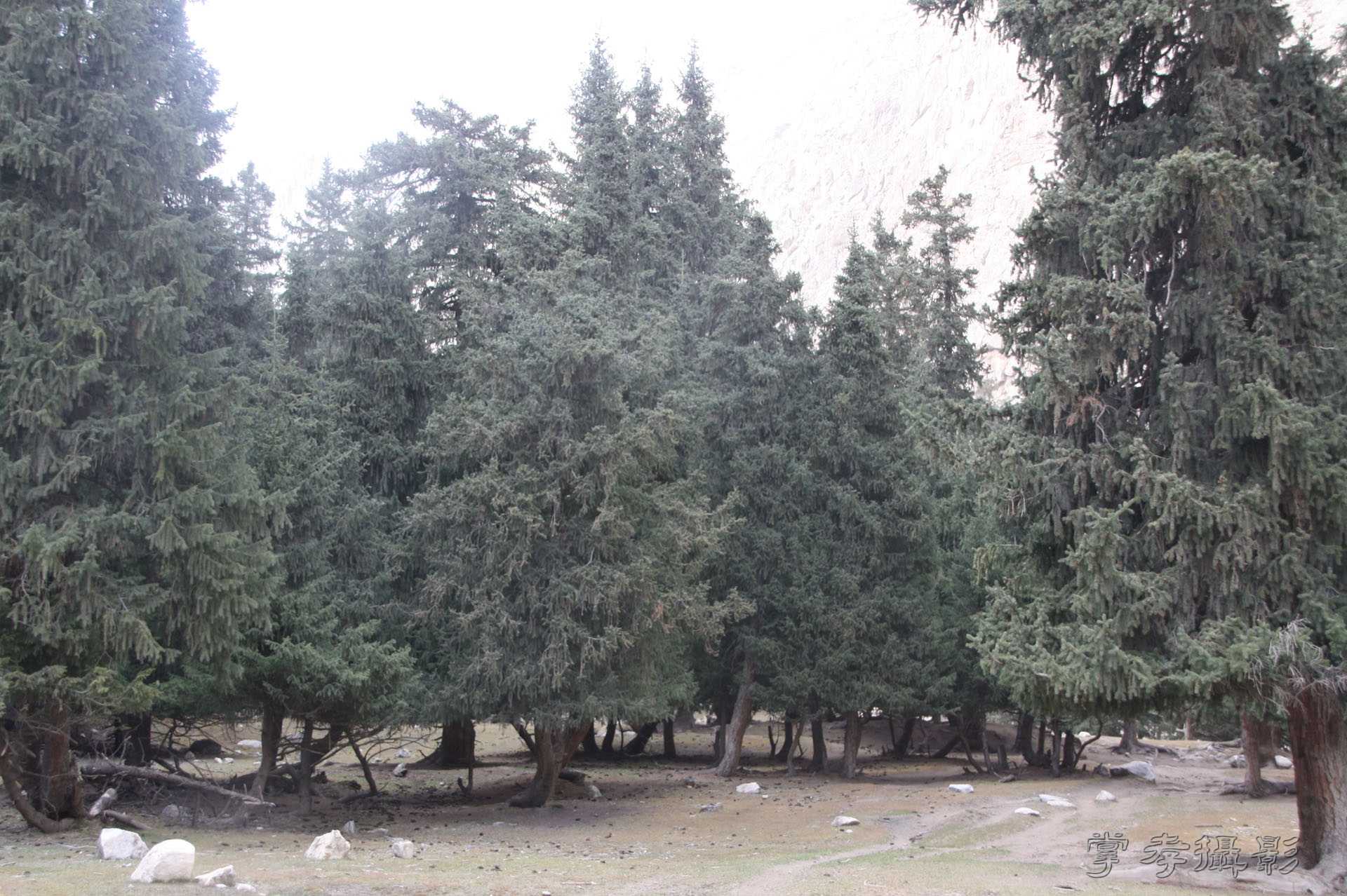 ͽ����Խ��ɽ����̾�����½� (1545).jpg