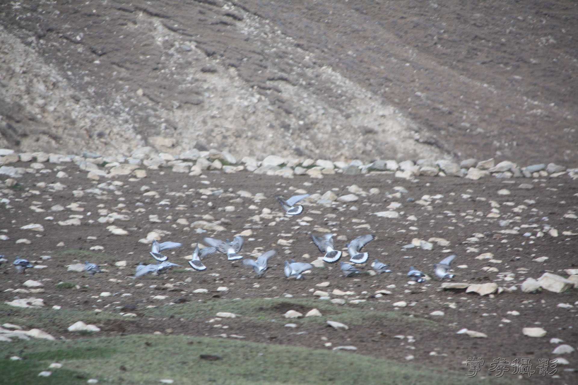 ͽ����Խ��ɽ����̾�����½� (1606).jpg