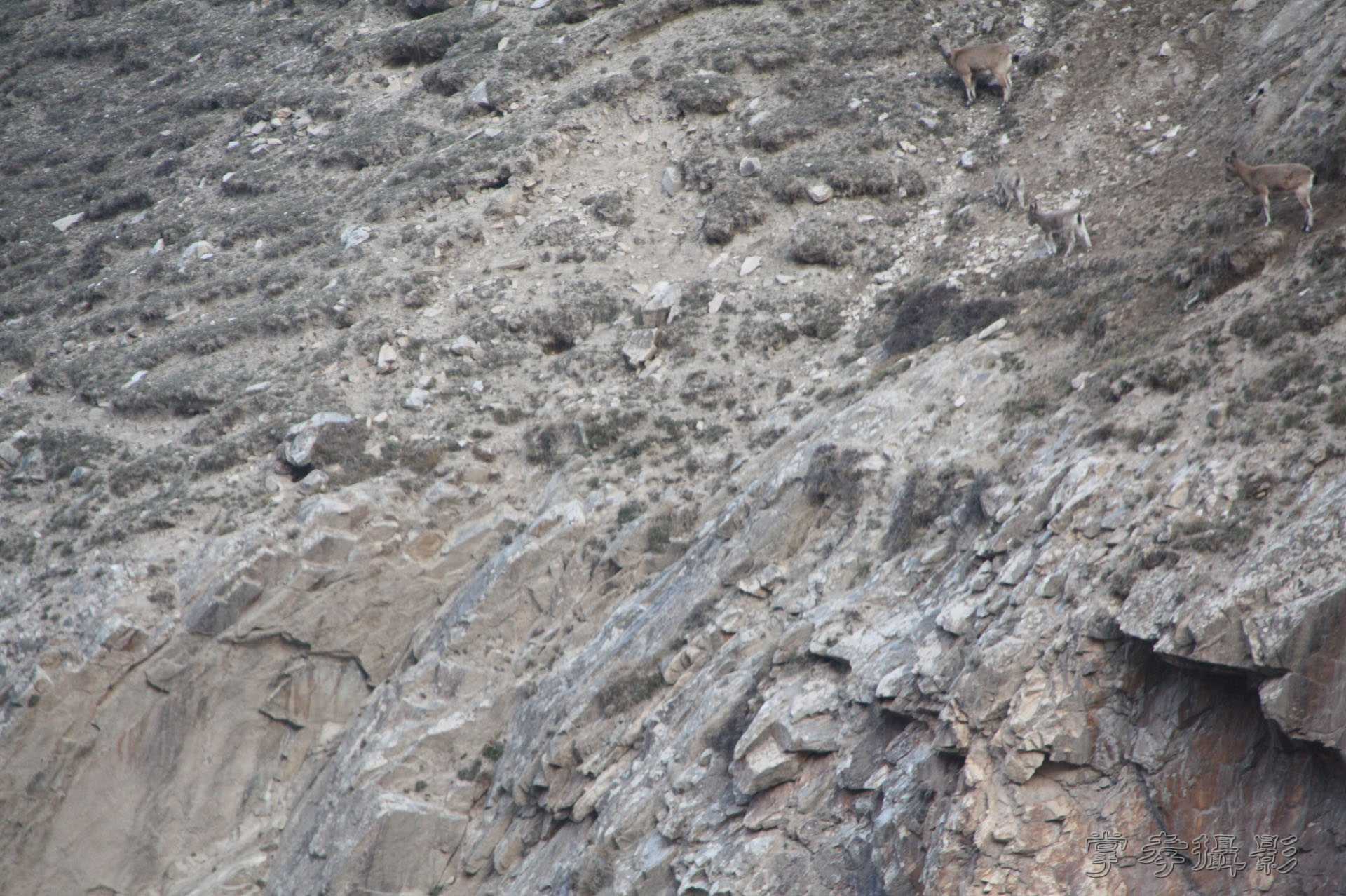 ͽ����Խ��ɽ����̾�����½� (1608).jpg