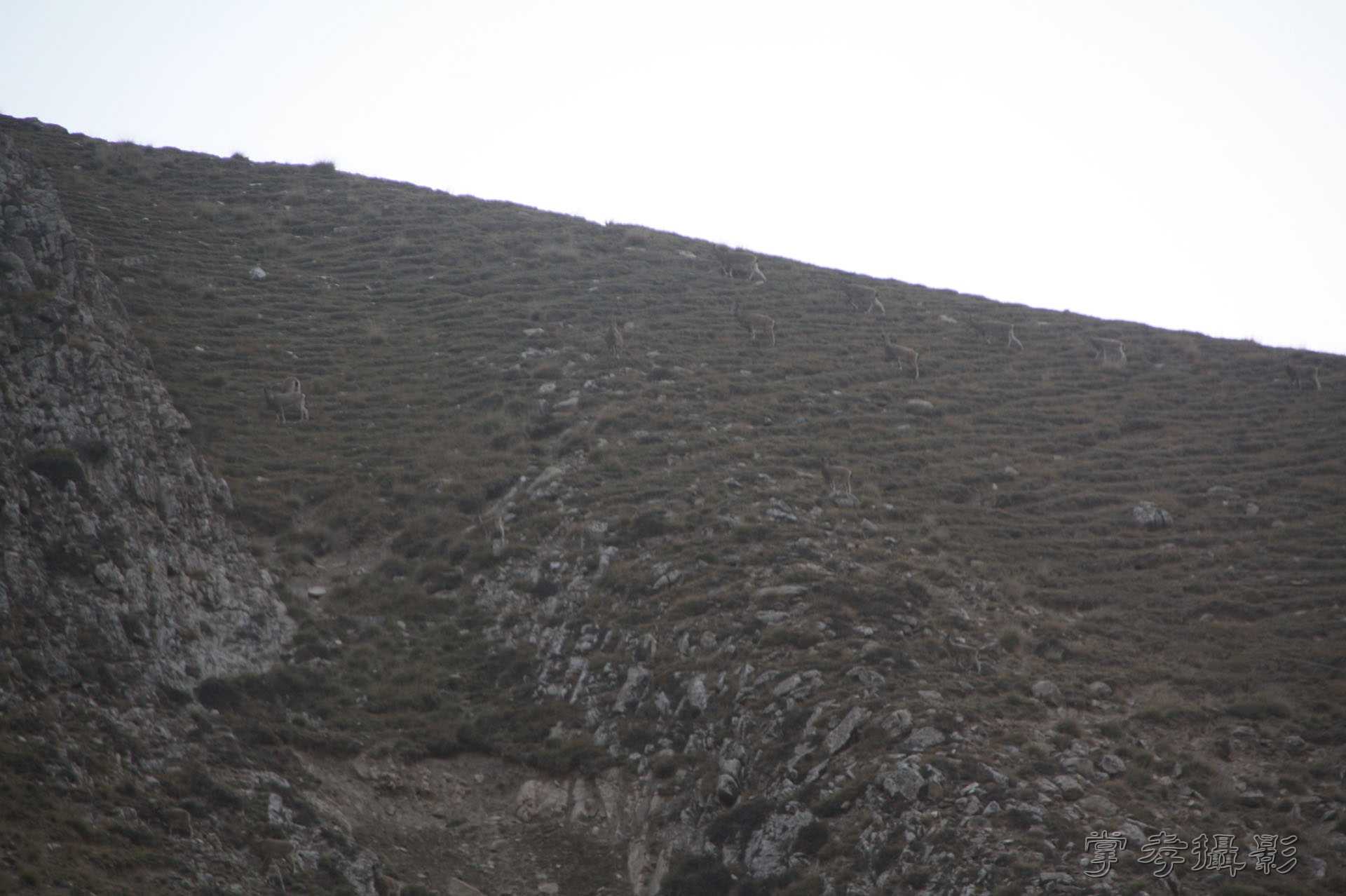 ͽ����Խ��ɽ����̾�����½� (1613).jpg