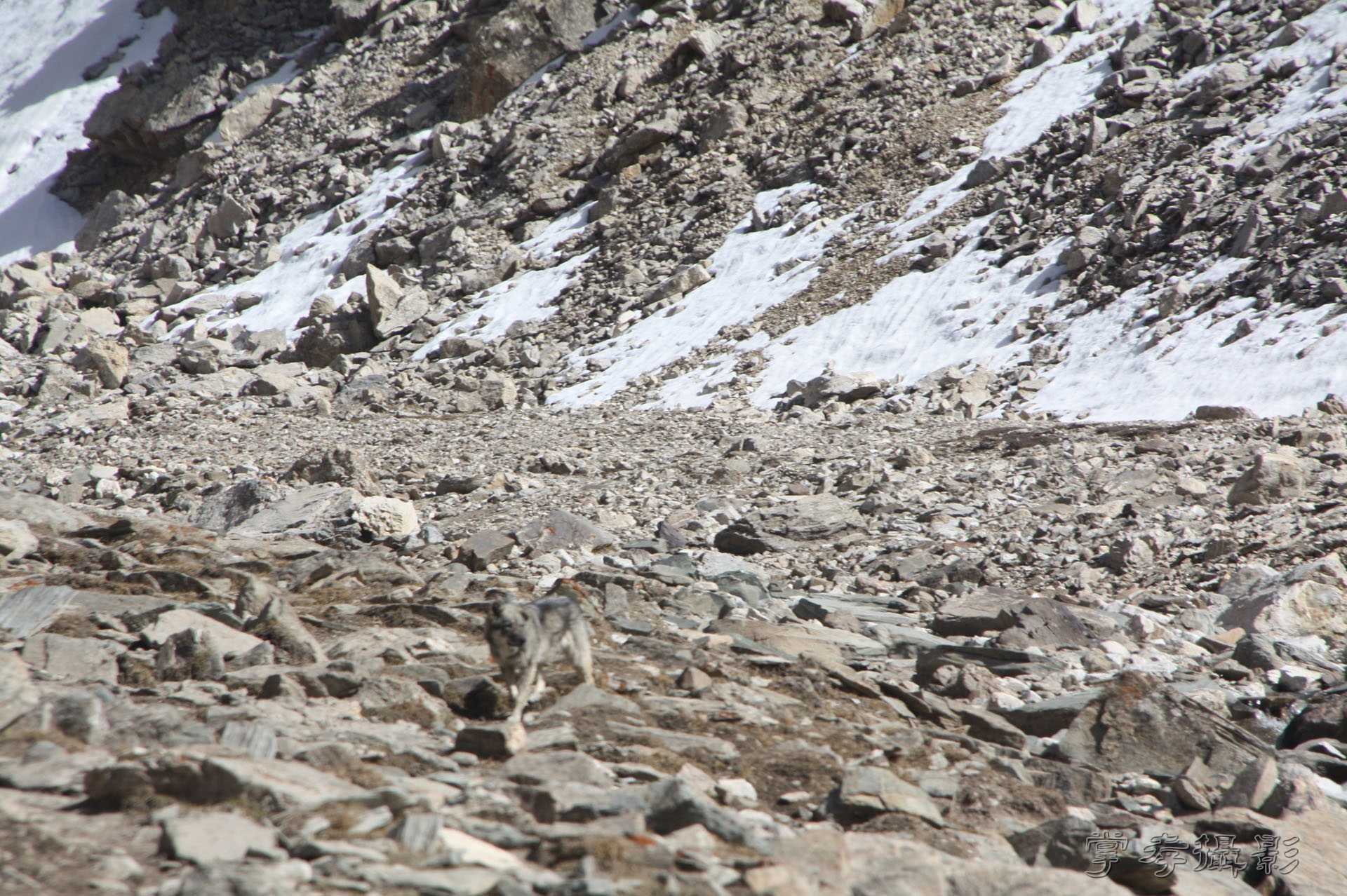 ͽ����Խ��ɽ����̾�����½� (1710).jpg