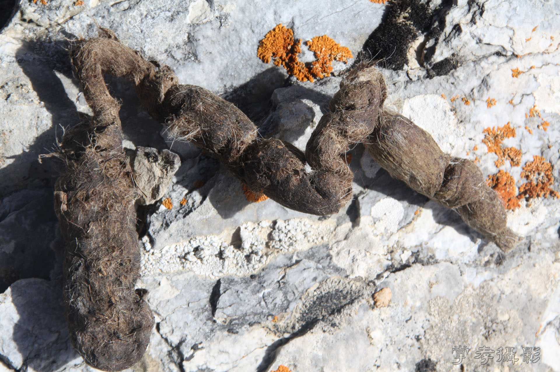 ͽ����Խ��ɽ����̾�����½� (2074).jpg