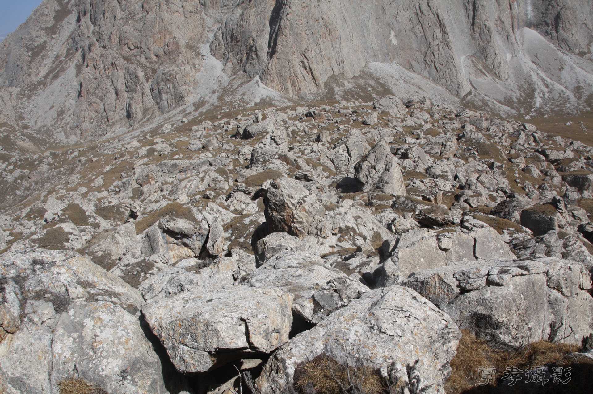 ͽ����Խ��ɽ����̾�����½� (2090).jpg