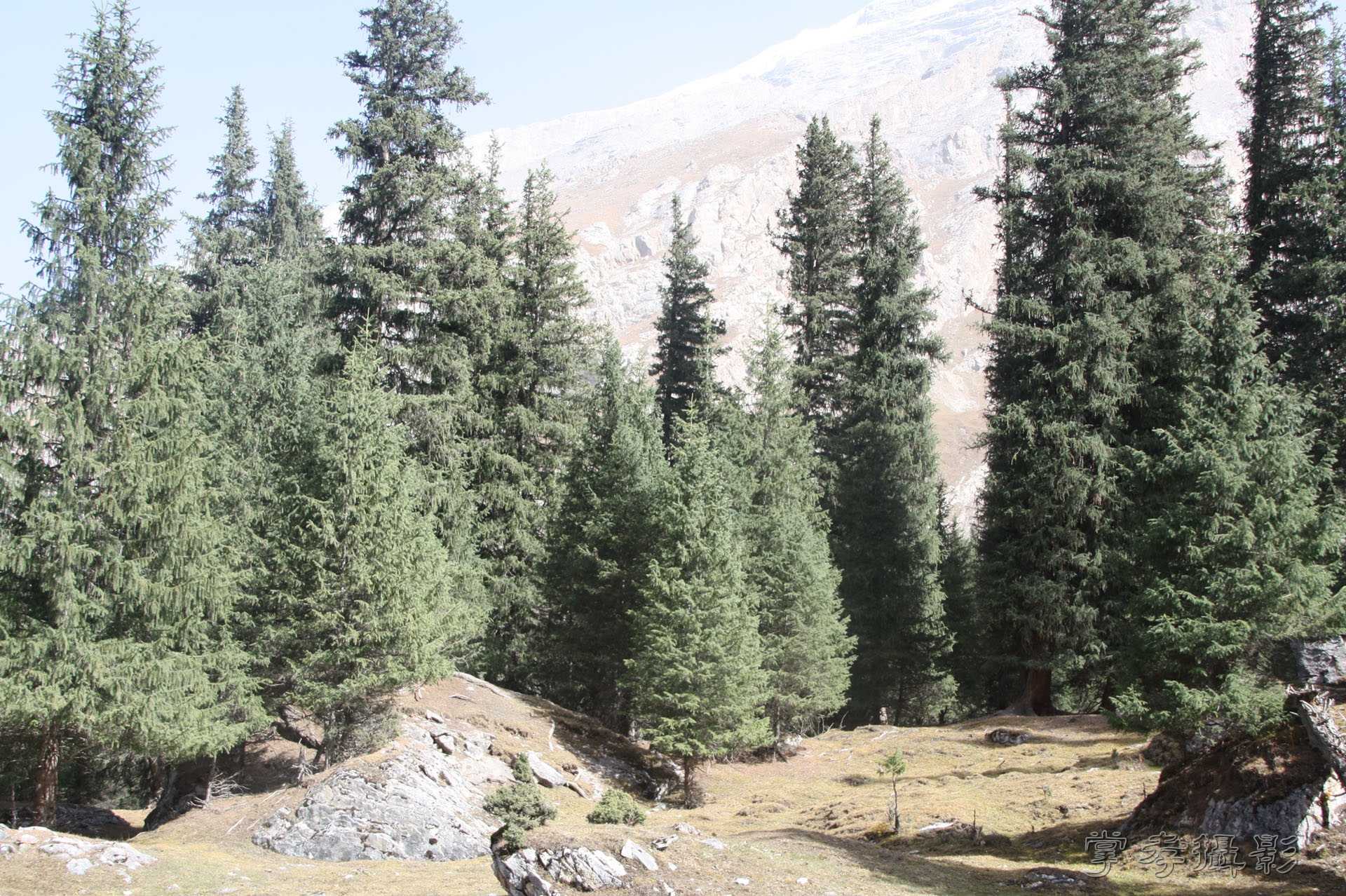 ͽ����Խ��ɽ����̾�����½� (2114).jpg