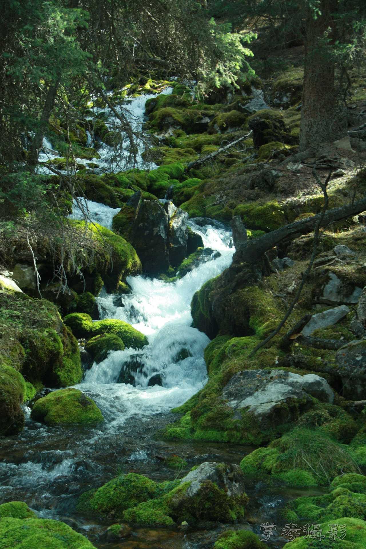 ͽ����Խ��ɽ����̾�����½� (2130).jpg