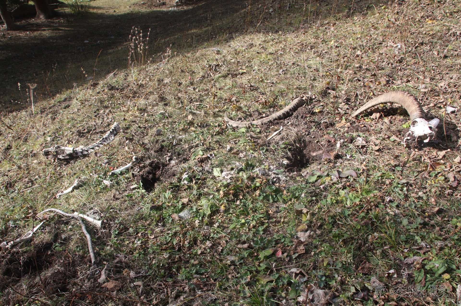 ͽ����Խ��ɽ����̾�����½� (2161).jpg