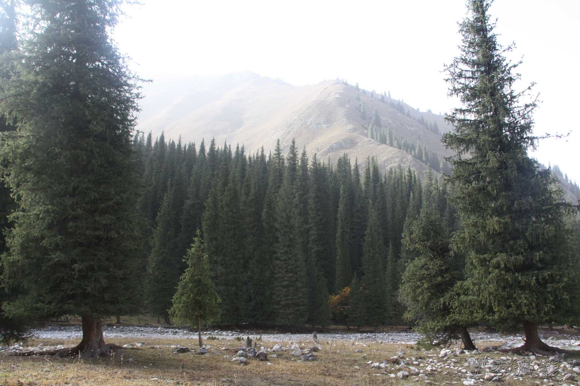 ͽ����Խ��ɽ����̾�����½� (2165).jpg