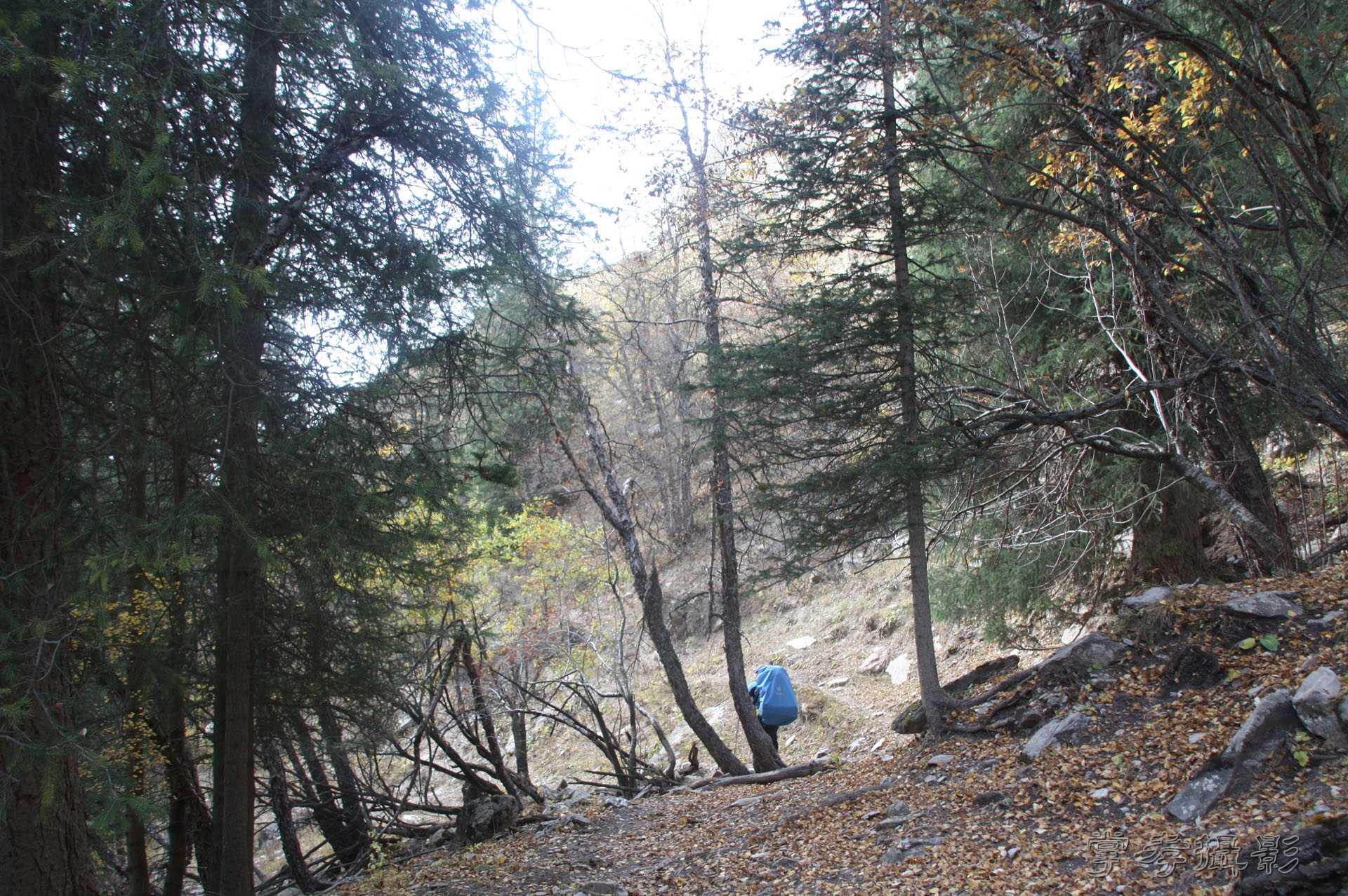 ͽ����Խ��ɽ����̾�����½� (2173).jpg