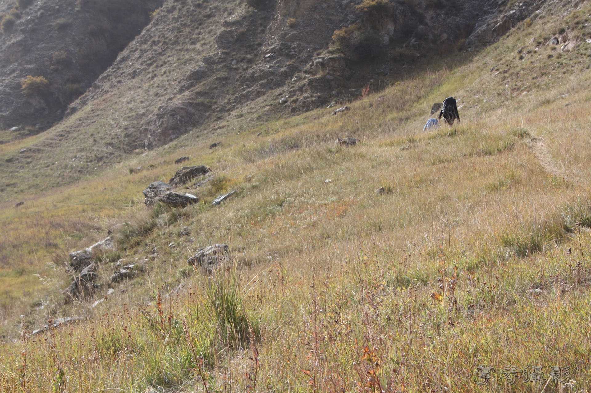 ͽ����Խ��ɽ����̾�����½� (2184).jpg