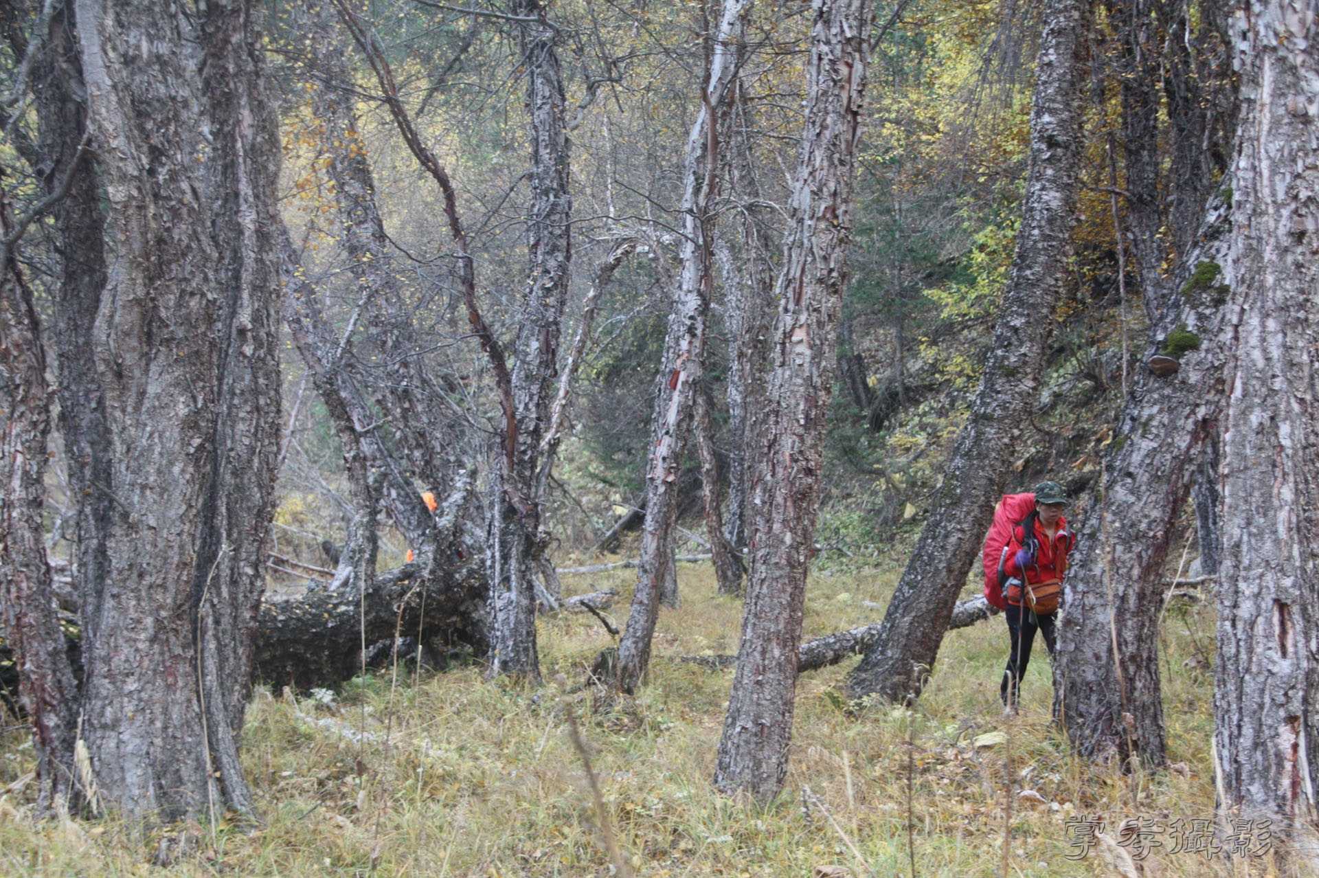 ͽ����Խ��ɽ����̾�����½� (2222).jpg