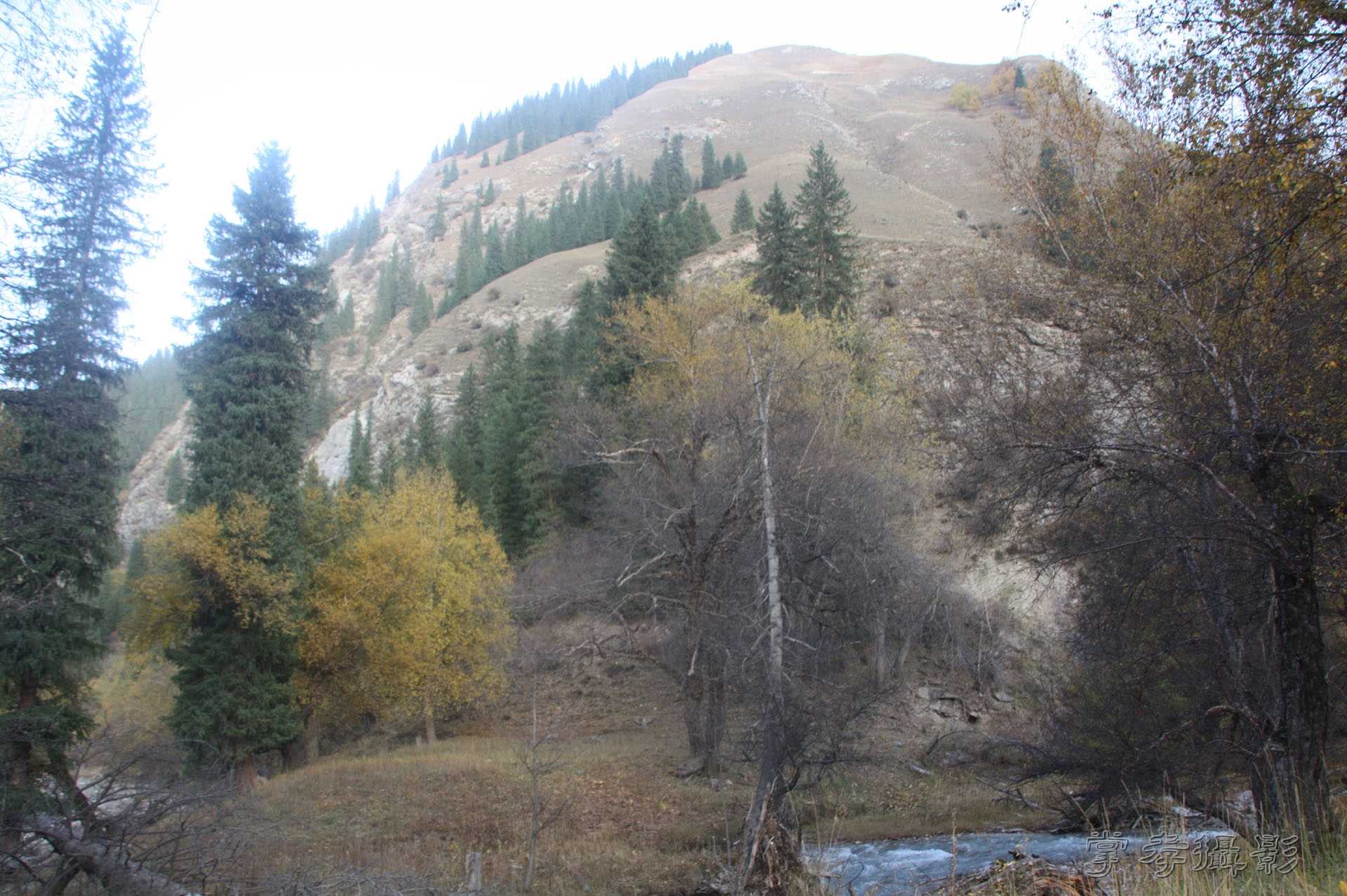 ͽ����Խ��ɽ����̾�����½� (2233).jpg