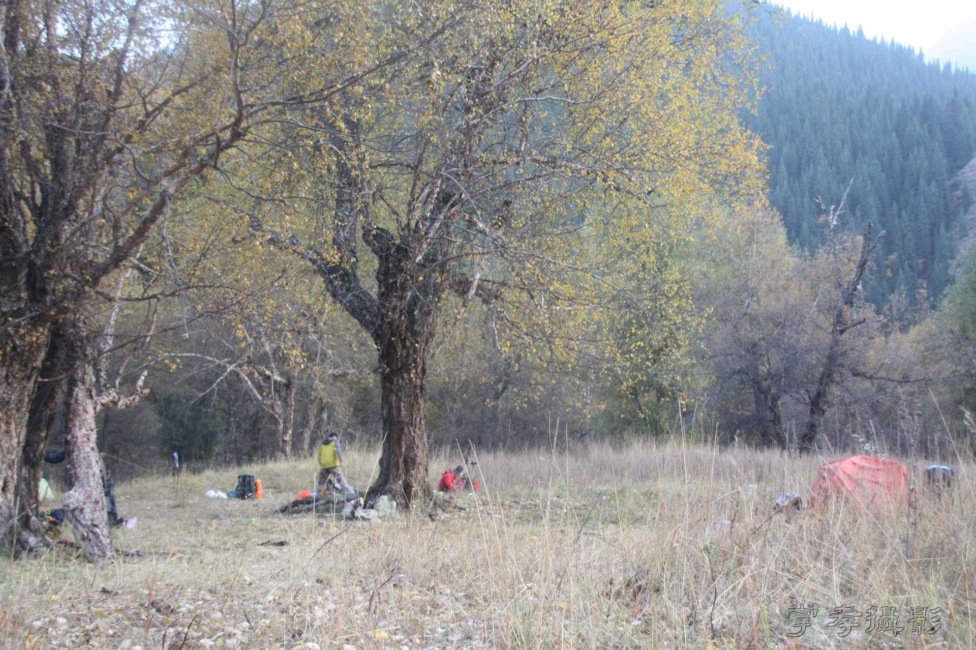 ͽ����Խ��ɽ����̾�����½� (2237).jpg