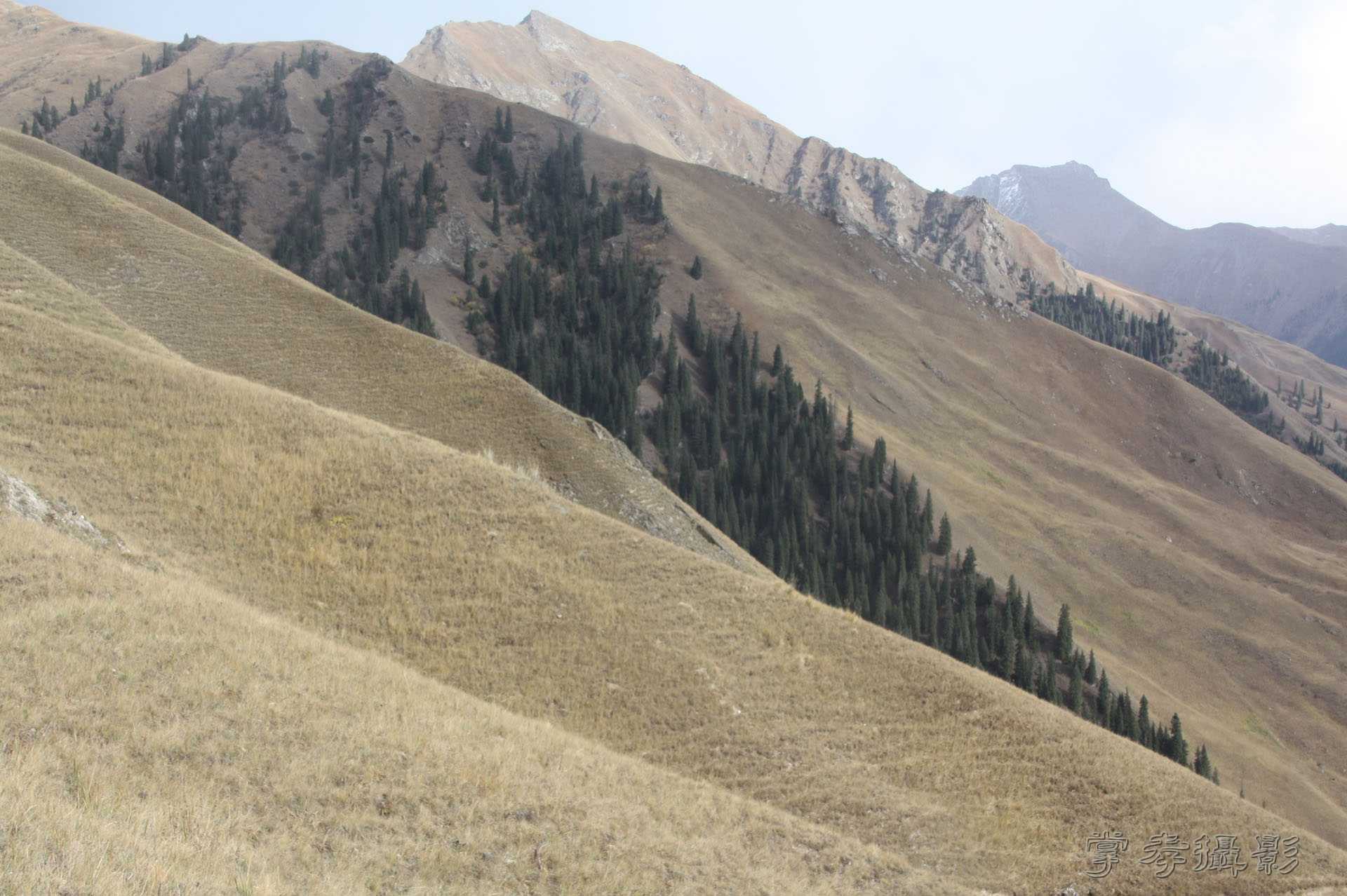 ͽ����Խ��ɽ����̾�����½� (2487).jpg