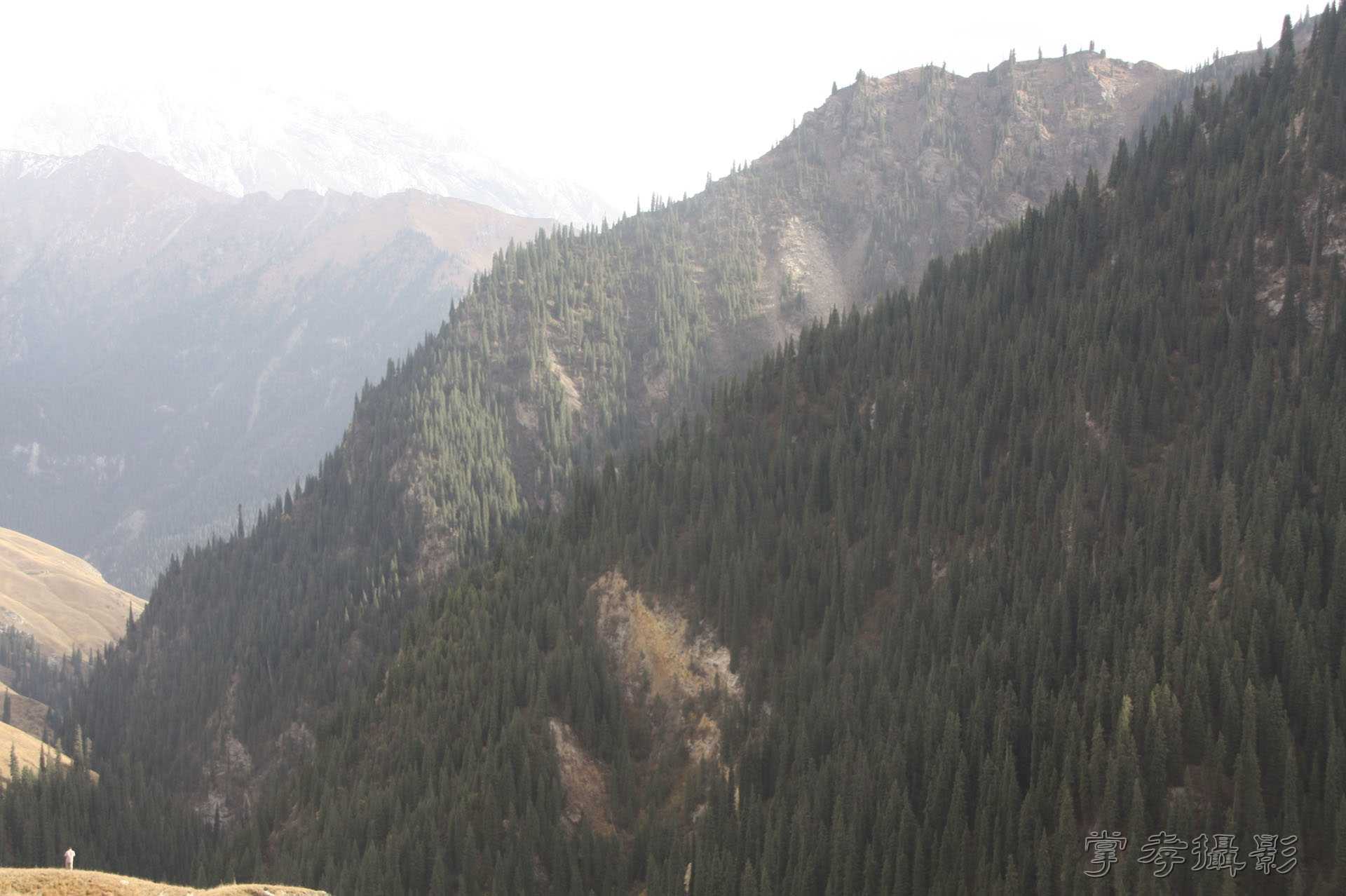 ͽ����Խ��ɽ����̾�����½� (2490).jpg