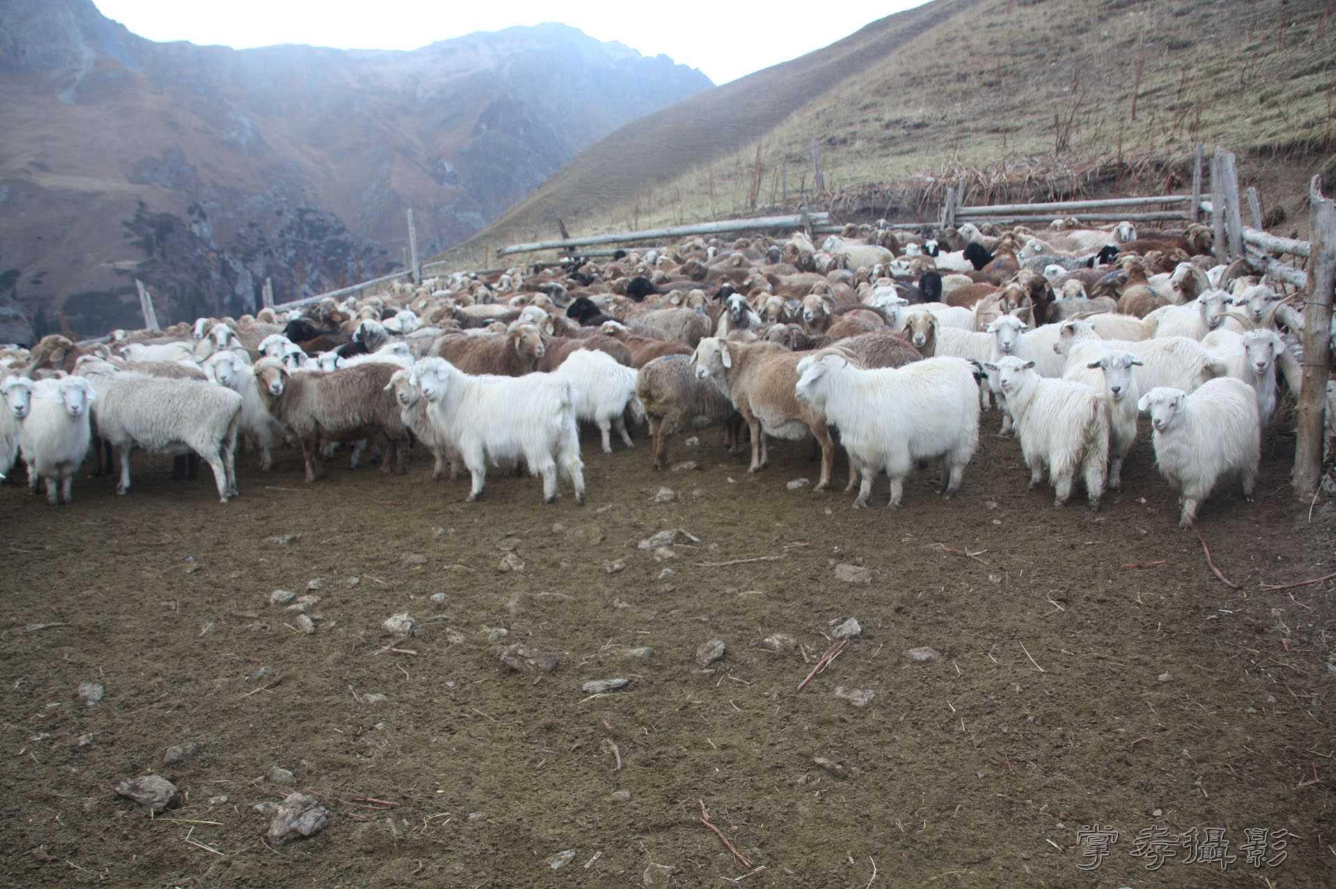 ͽ����Խ��ɽ����̾�����½� (2501).jpg