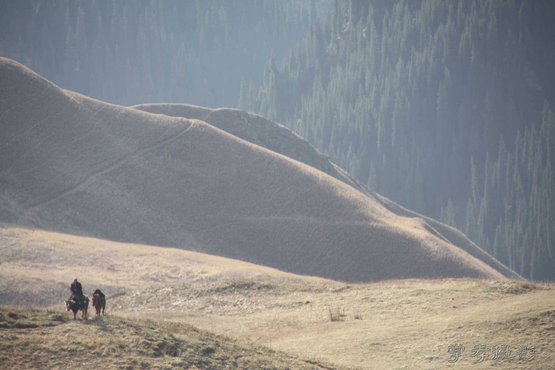 ͽ����Խ��ɽ����̾�����½� (2553).jpg