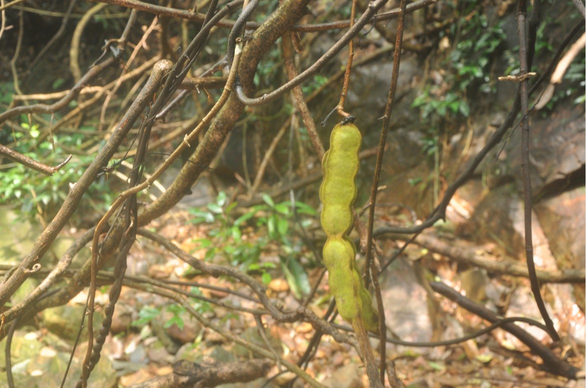 ��ȸ���Ĺ���